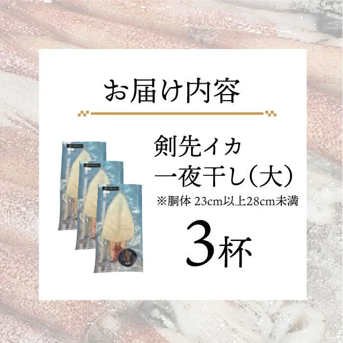 剣先イカ 一夜干 （大） 3杯 《壱岐市》【株式会社マルショウ】 いか 剣先いか セット おつまみ 一夜干し [JEW007] 20000 20000円 のし ギフト