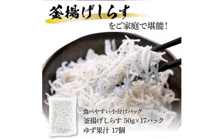 高知県産釜揚げしらす（50g×17パック）