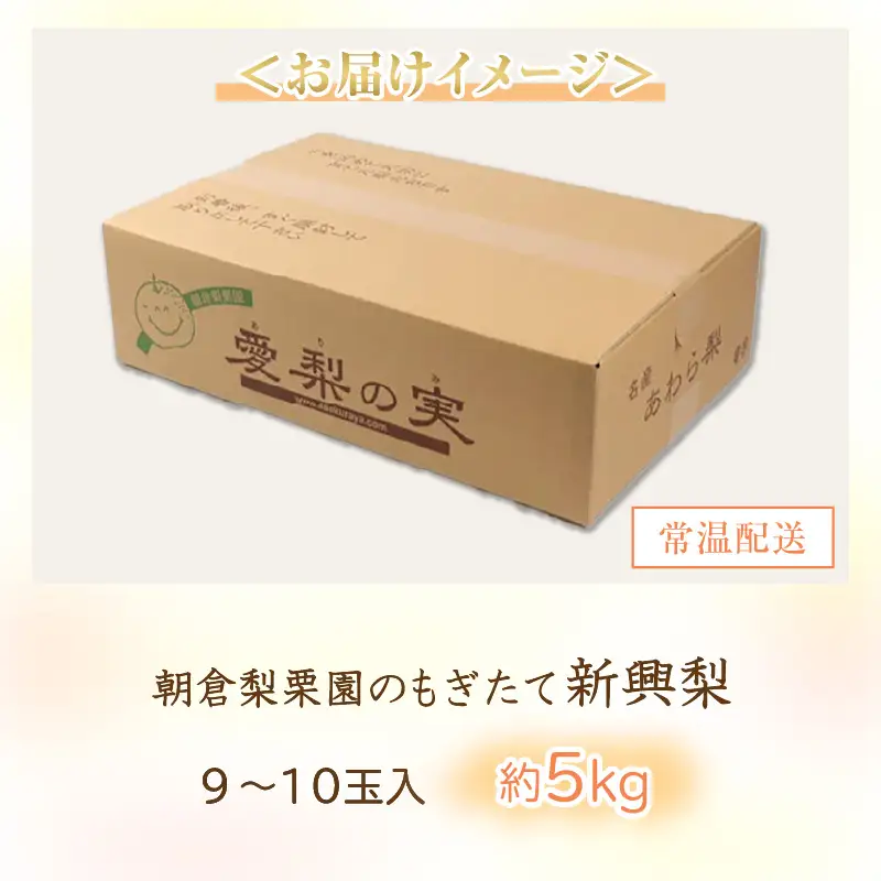 【先行予約】《数量限定》新興梨 9～10玉入 約5kg 歯ごたえ抜群！ もぎたて 新鮮 ／ 期間限定 果物 フルーツ 農家直送 お取り寄せ 新興 梨 なし 福井県 あわら市※2026年10月中旬より順次発送 [aw042-a002]