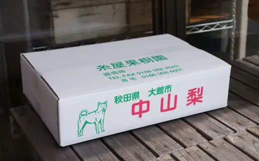 【数量限定・先行受付】糸屋果樹園の「中山なし」3kg 65P092001 /　梨 ナシ 和梨 幸水 豊水  果物 くだもの フルーツ 東北 秋田 大館 中山地区 中山なし 中山梨 なかやまなし【糸屋果樹園】