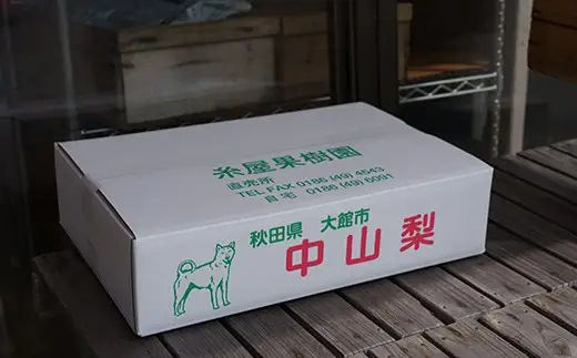 【数量限定・予約受付】糸屋果樹園の「中山なし」5kg 90P092002　/ 梨 ナシ 和梨 幸水 豊水  果物 くだもの フルーツ 東北 秋田 大館 中山地区 中山なし 中山梨 なかやまなし 【糸屋果樹園】