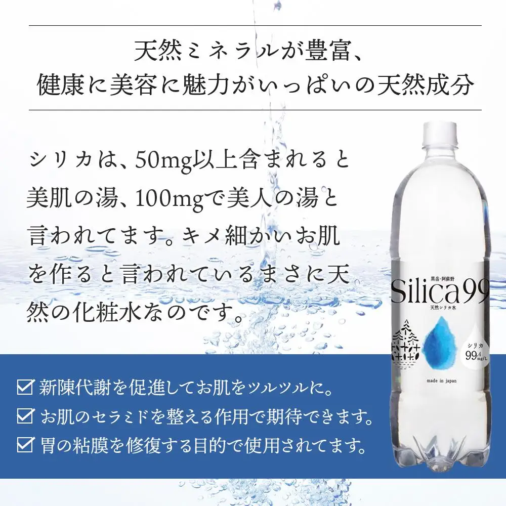 ＜２か月に１度のお届け！全３回 定期便＞天然炭酸水Silica99　500ml×24本