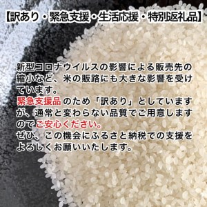 訳あり【12回定期便】京都丹波産 きぬひかり 10kg(5kg×2)×12ヶ月 計120kg