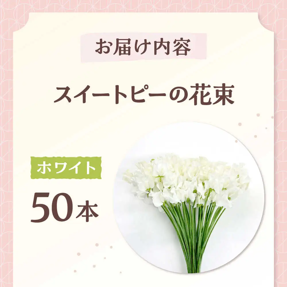 【先行予約 2026年12月～発送】スイートピー 花束 50本（ホワイト） /  [IBW003]