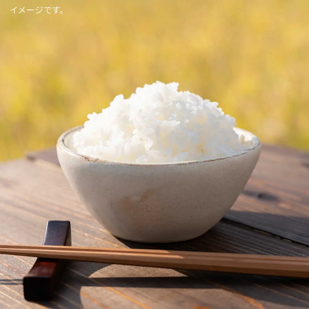 【全3回定期便】とくべつの中のとくべつ 糸島 特別栽培米 3kg （ コシヒカリ ） 糸島市 / itoshimacco / 株式会社やました [ARJ021]