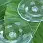 【琉球ガラス工房雫】水玉お皿（中・2枚セット）