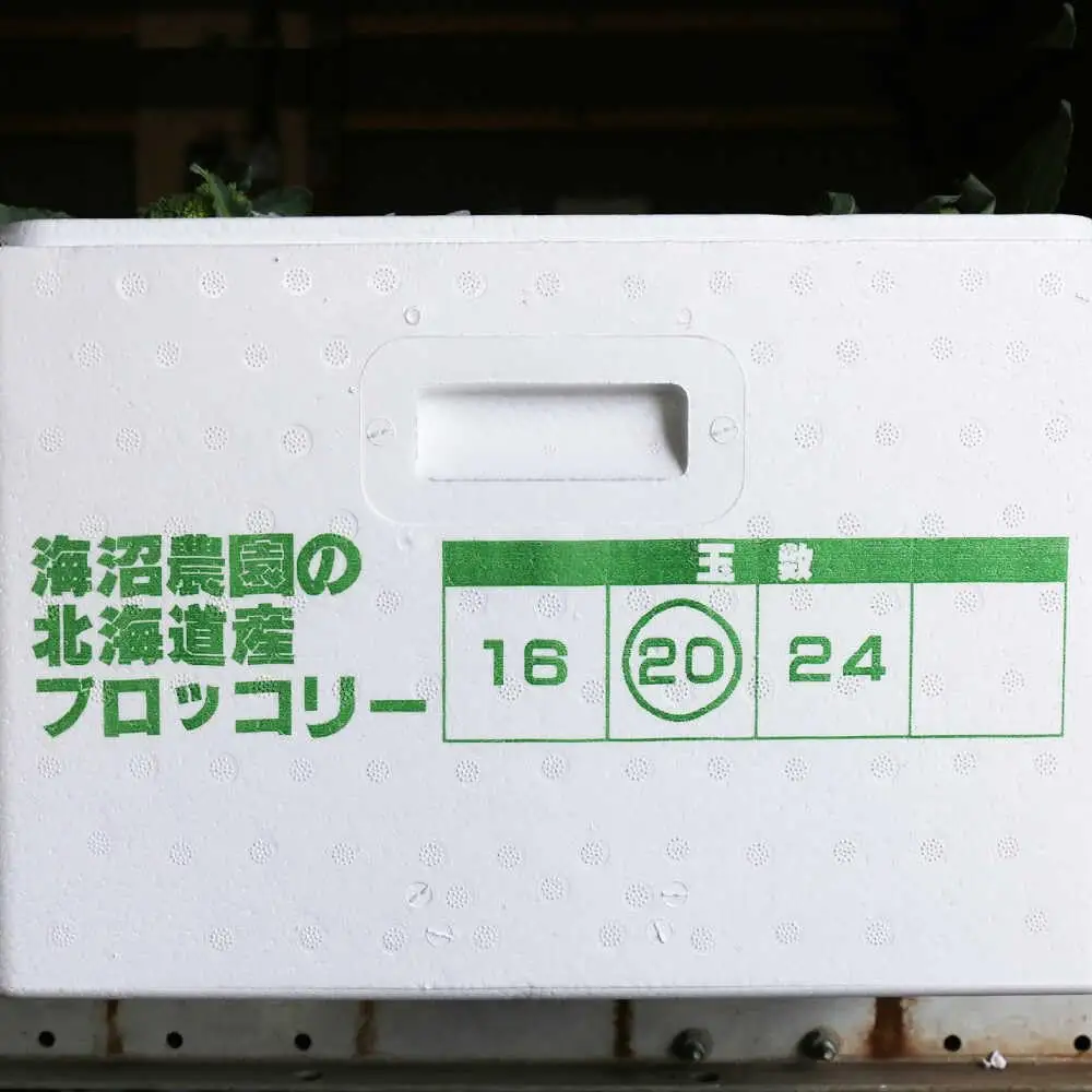 【2026年7月以降順次発送】ブロッコリー 20玉 北海道 先行予約 [AXBD001]