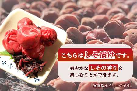 梅干し しそ 800g 梅干し