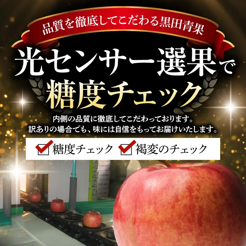 【2027年2月前半発送】【訳あり】 りんご 葉とらずサンふじ 約5kg 青森県産 サンふじ