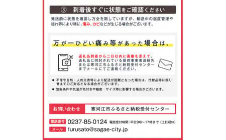 《先行予約》 令和8年産 りんご「サンふじ」秀品 5kg 山形県産【2026年12月上旬頃から2027年1月中旬頃発送予定】2026年産 山形産　018-B-MM028