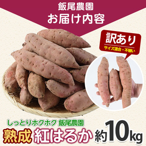 《 訳あり 》飯尾農園 紅はるか 約10kg 芋 いも さつまいも サツマイモ 鹿児島県産 国産 長島町産 べにはるか 熟成【飯尾農園】miio-7232