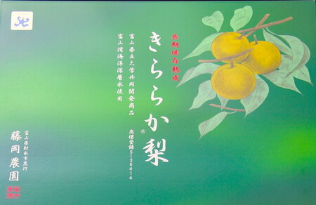 藤岡さんが作ったきららか梨（幸水または豊水）約3kg ｜ 梨 ナシ 果物 フルーツ　※2026年8月～発送