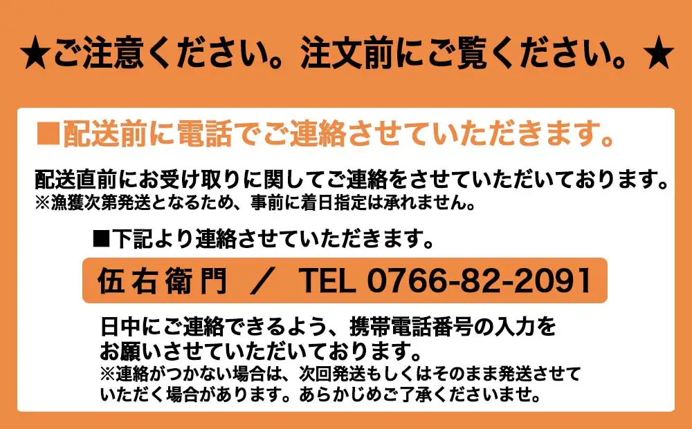 【伍右衛門】新湊産紅ズワイガニ約600g｜ずわい蟹 ずわいガニ ズワイガニ ※2026年9月～発送  ※発送まで1か月以上かかる場合があります。