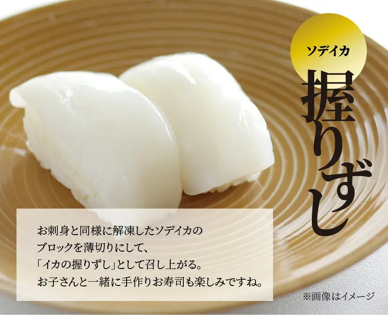 【 サイズ不揃い 】ソデイカ・刺身用ブロック 500g / 沖永良部島特産 W009-056u 魚 冷凍 イカ 加工品