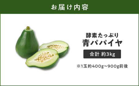 酵素たっぷり「 青パパイヤ 」3kg W009-065-01 惣菜