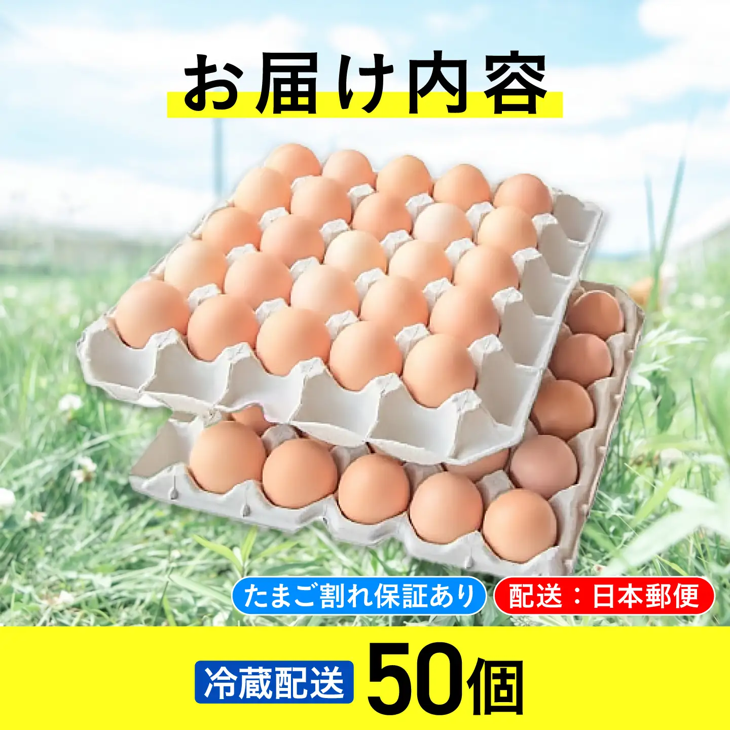 たまご 平飼い卵 50個 冷蔵 [AXAN010] たまご