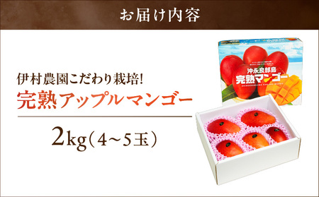 【 2026年 先行予約 】 伊村農園 こだわり 栽培 ！ 完熟 アップルマンゴー 2kg （ 4～5 玉 ） W026-002u 果物 マンゴー