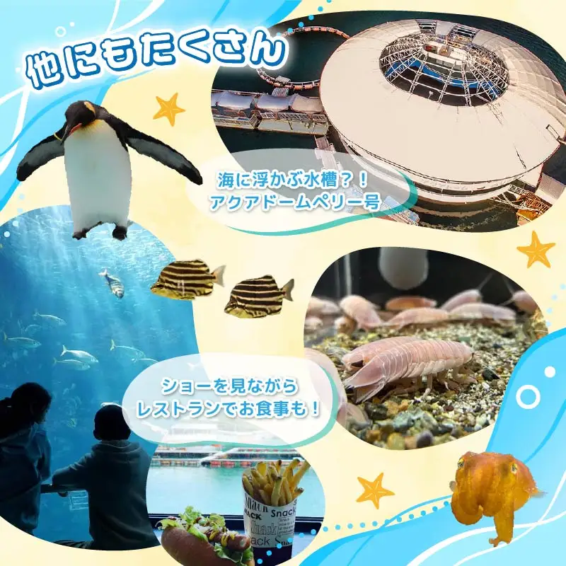 【下田海中水族館】ペア入場券 [水族館 イルカ]