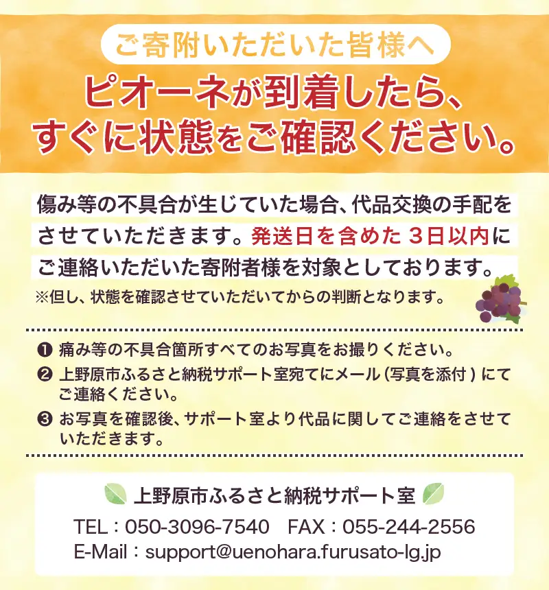 【山梨県山梨市産】ピオーネ 約2kg 種なしピオーネ ぶどう