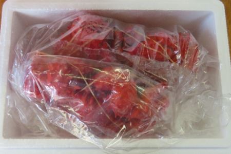 【北海道根室産】花咲がに 2～3尾(計1.4kg以上)(チルド便発送)[7月下旬以降発送] C-59024