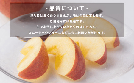 【 感謝りんご / 光センサー選別品 】 りんご シナノゴールド 訳あり 5kg （ 12玉 〜 25玉 ） 交換保証 ながの農業協同組合 沖縄県への配送不可 2026年11月上旬頃から2026年11月下旬頃まで順次発送予定 令和8年度収穫分 傷 不揃い リンゴ 林檎 果物 フルーツ 信州 長野 予約 長野県 飯綱町 [1208]