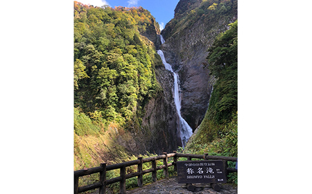 米 富山県立山町産 こしひかり 玄米 10kg×2袋 計20kg 横山ファーム 富山県 立山町 F6T-617