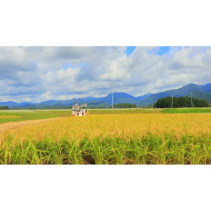【定期発送】米食味鑑定士厳選 新庄産 つや姫（玄米）5kg【全3回】 米 お米 おこめ 山形県 新庄市 F3S-2949