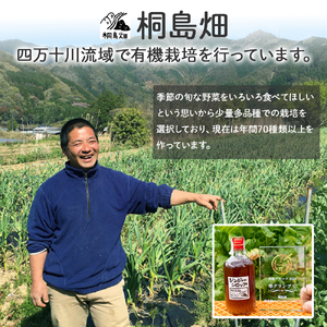 【桐島畑】ジンジャーシロップ 1本（480g） 栽培期間農薬 化学肥料不使用 生姜 Fkh-B08／ 生姜 しょうが 生姜シロップ ジンジャー 無農薬