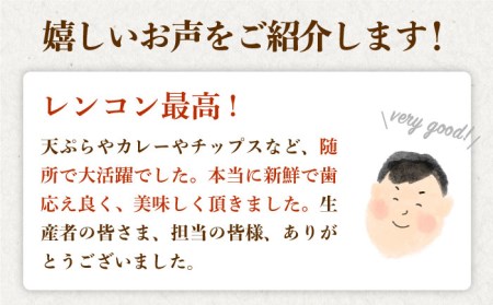 【年末発送 ※12月25日〜27日発送】＜地元江北町産＞泥付き 蓮根 3kg【百武青果】[HAE015] 蓮根 れんこん レンコン 野菜
