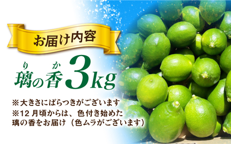 【長崎県長与町産】璃の香 （ りのか ） 約3kg レモン ー2026年8月下旬より発送ー 長与町/井上柑橘園 [EAA005]  りのか レモン 3kg フルーツ 果物 くだもの 果実 柑橘 檸檬 れもん 先行予約 レモンティ レモネード 国産 産地直送