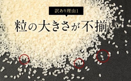 【緊急支援品】数量限定 福岡ふるさと米 12kg（6kg×2袋） 【訳あり】