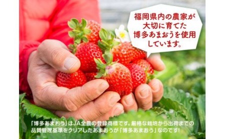【ふるさと納税限定・1個増量中！】博多あまおう たっぷり苺のアイス 74ml×8個 (A-TPF)