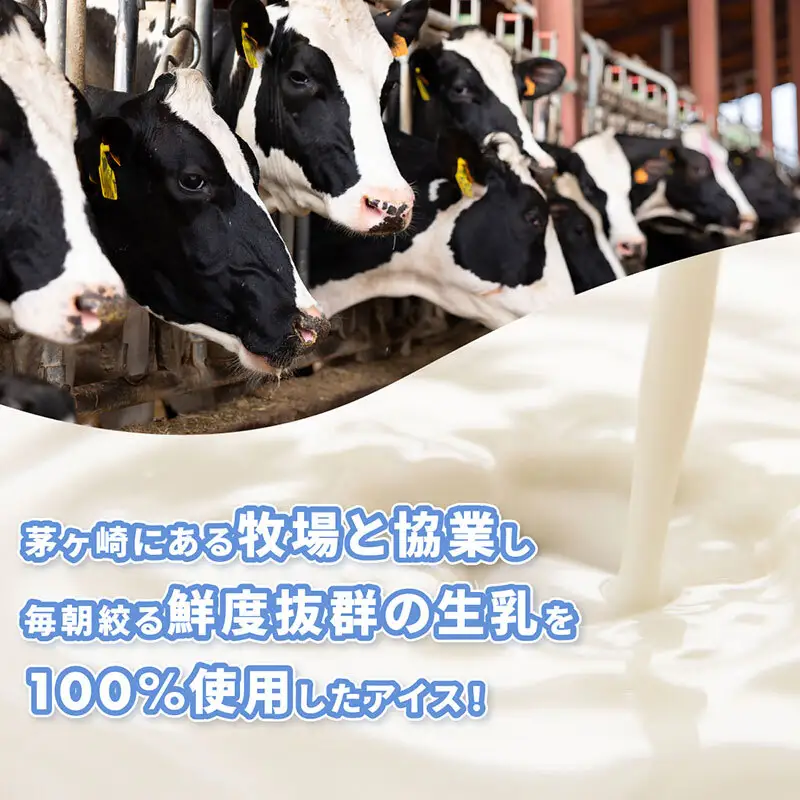 【ふるなびWEEK対象】【湘南茅ヶ崎の人気店】プレンティーズのアイスクリーム（バニラ10個） スイーツ 洋菓子 夏 おやつ デザート 手作り ひんやり 10個入