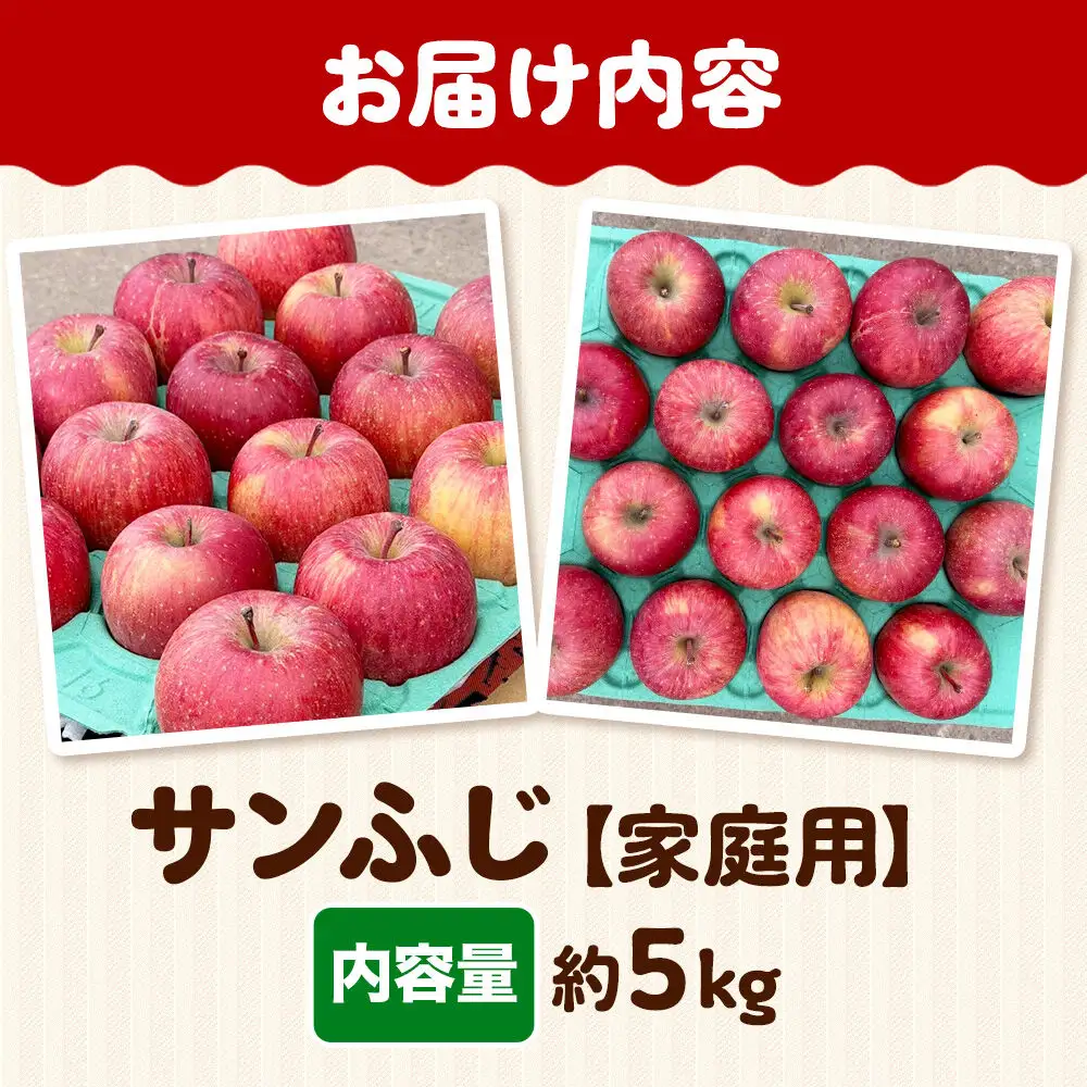 りんご サンふじ 約5kg 家庭用【11月下旬～発送】りんご