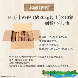 四万十の薪　未乾燥　シイ他(20kg以上)×10箱　Bnm-23 四万十の薪　未乾燥 キャンプ 薪ストーブ ストーブ 薪割り 割り薪 まき 乾燥 済 アウトドア キャンプ ファイヤー 焚き火 焚火 森林 林業 木 サウナ 薪 薪 薪