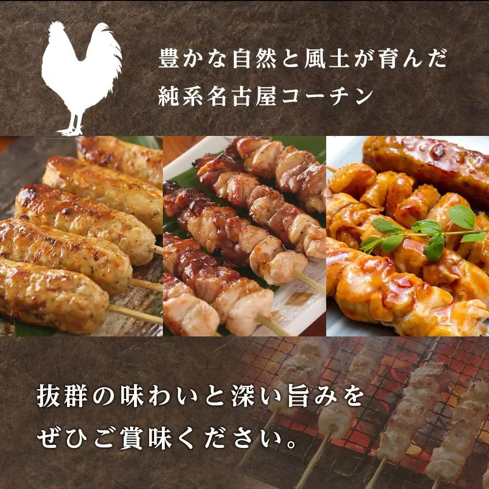 純系名古屋コーチン　焼き鳥バラエティーセット 焼き鳥 地鶏