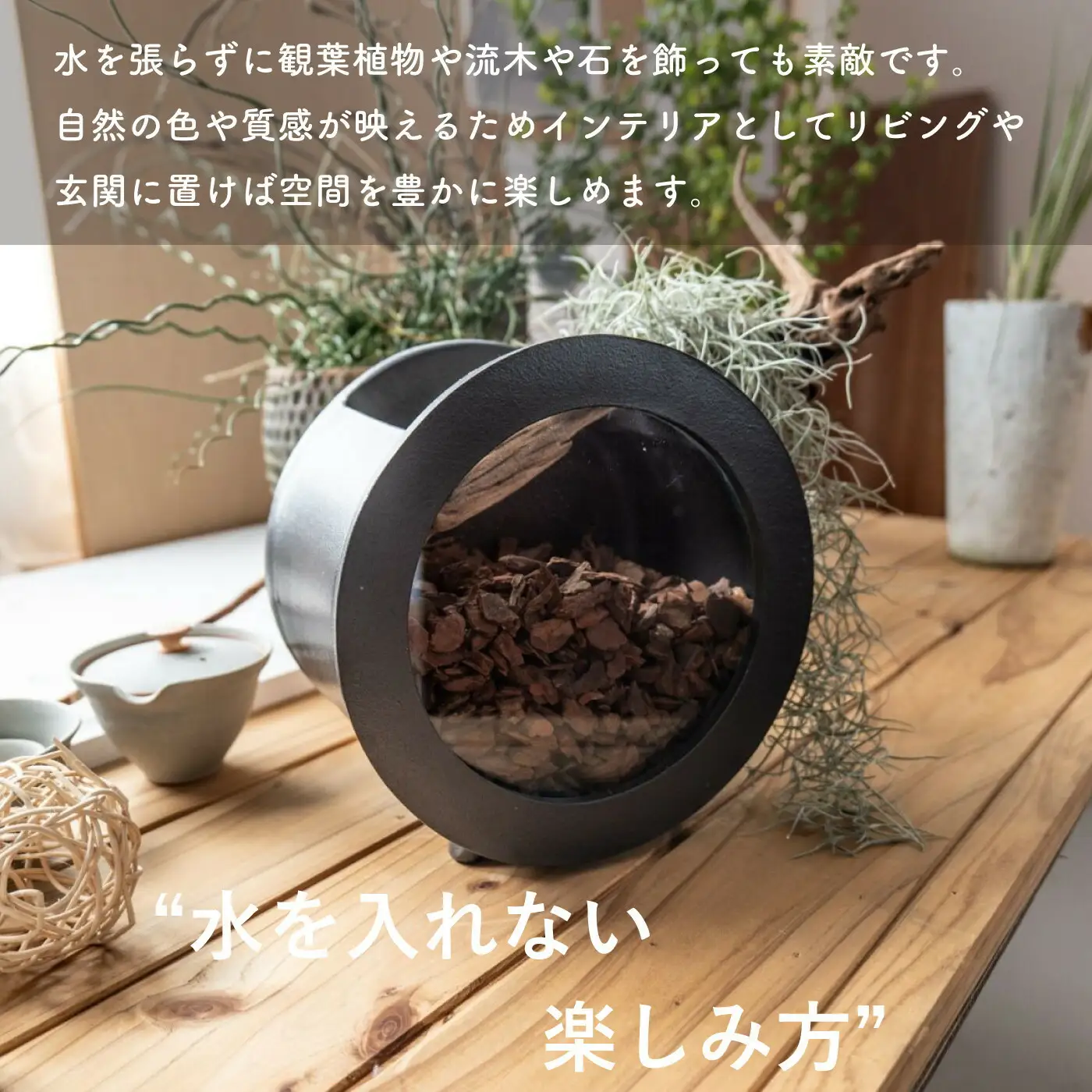 【信楽焼・明山】丸水槽・中（黒）aqua-01s (176777-40037144)