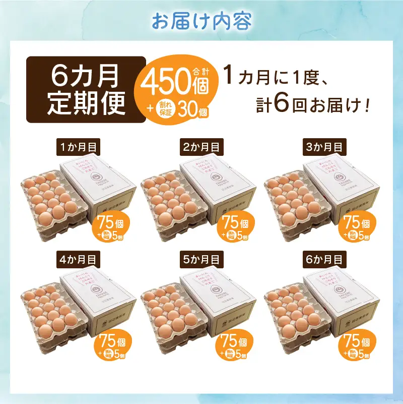 【6ヶ月定期便】”忍野の卵”コクの赤玉80個×6回※割れ保証含む 卵