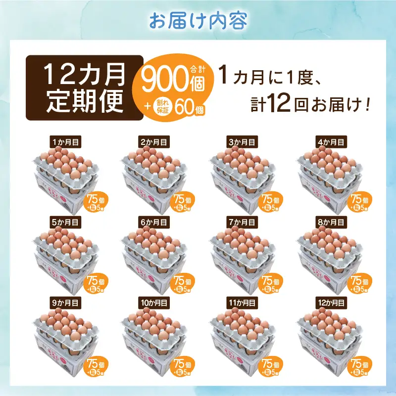 【12ヶ月定期便】”忍野の卵”コクの赤玉80個 卵