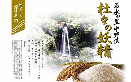 43-12【6ヶ月連続お届け】杜々の妖精コシヒカリ5kg（全国名水百選栃尾産）