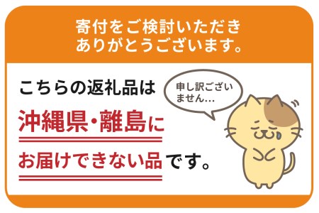 特別栽培 北海道産 小麦粉100％「北海道小麦そうめん」300g ×15袋 素麺 夏麺 アレンジ豊富 つるつる 常温保存 ゆめちから 北海道 十勝 芽室町me038-007c