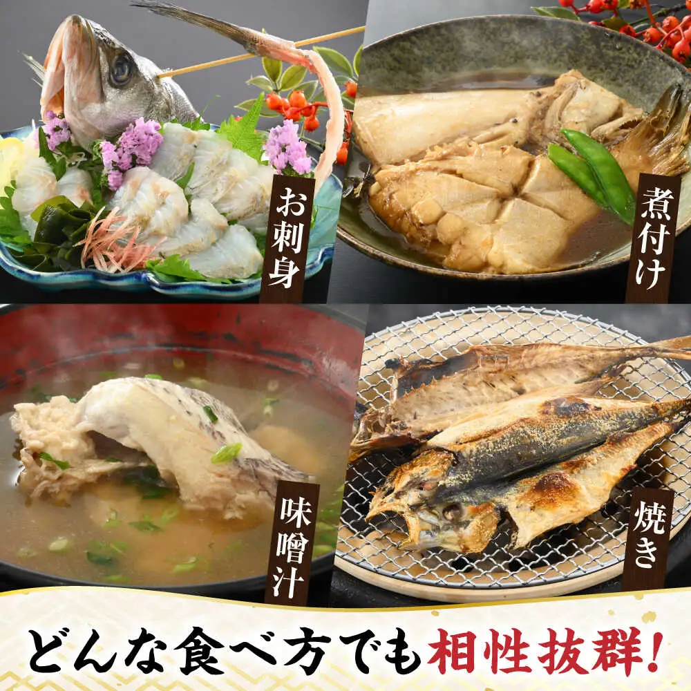 【定期便】全12回(毎月発送)【加福鮮魚】「若狭小浜港産地直送」旬の天然鮮魚お任せセット！ 小浜市 / 加福鮮魚【配送不可地域：北海道、北東北（秋田、青森、岩手）、九州、沖縄、離島】 [BFBC017] 