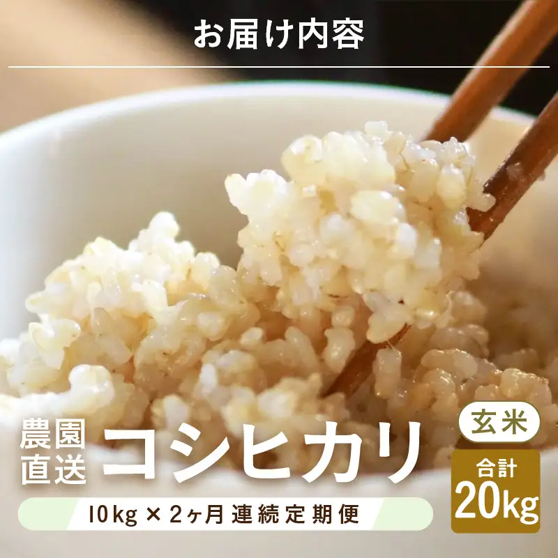 【先行予約】【令和8年産・新米】【農家直送定期便 2ヶ月コース】本原農園のまごころコメたコシヒカリ 10kg × 2回 計20kg（玄米）【2026年10月上旬以降順次発送】 [D-8916_02]