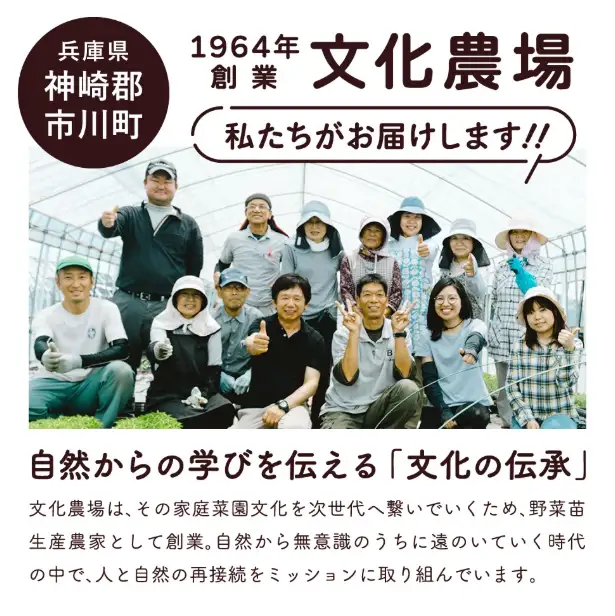 家庭菜園用培土「文化の土」90L　016BK01N.／ガーデニング 花 野菜 栽培 ベランダ菜園 培土 用土 初期育成 肥料入り 家庭菜園 土 培養土 鉢植え 園芸用土 初心者 元肥入り はじめての家庭菜園 キッチンガーデン