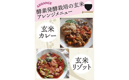 酵素発酵玄米 900g×2 F20E-812