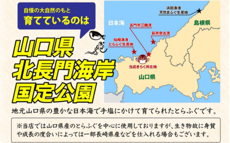 数量限定 限定 ふぐ 白子 とらふぐ白子 とらふぐ 小分け 1kg 訳あり わけあり 訳アリ (1522)