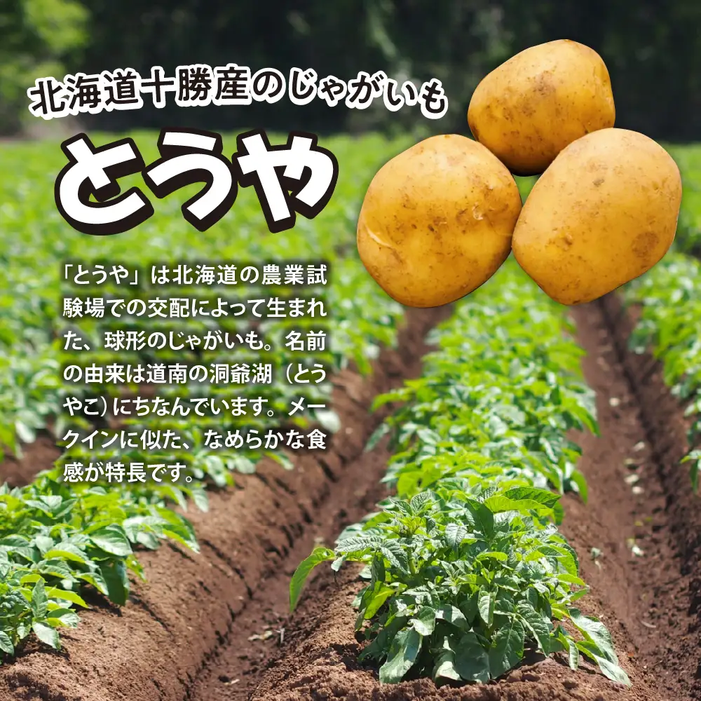 皮付き フライドポテト 計 6kg 冷凍 フライドポテト 北海道