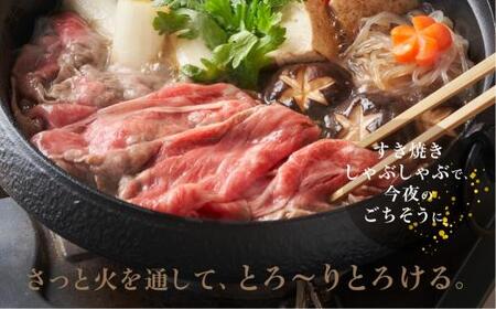 飛騨牛 すき焼き 切落し 600g | すき焼き BV009