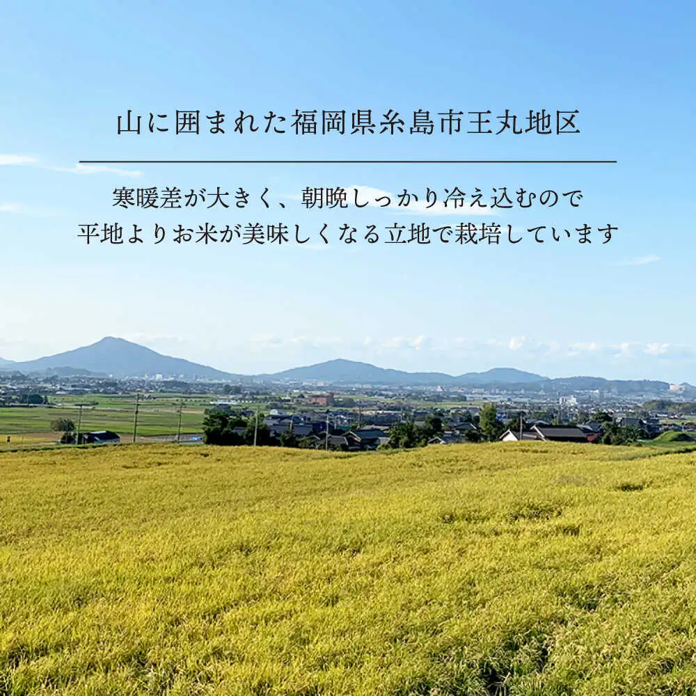 糸島産 夢つくし 10kg　糸島市 / 糸島王丸農園 ( 谷口汰一 ) /いとしまごころ [AAZ005]