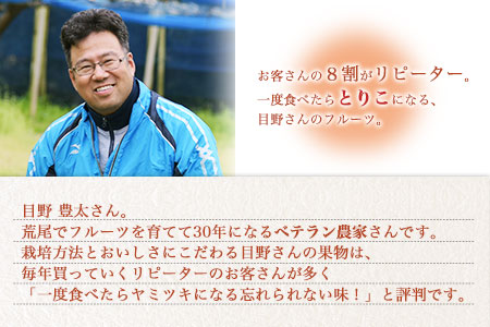 先行予約 目野果実直売所 荒尾梨 約2-2.5kg 旬の梨